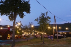 P1000541